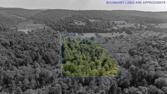 0 Cummiskey Rd, New Albany, PA 18833 - photo 8