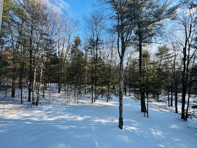 view of yard covered in snow