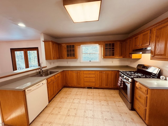 kitchen with sink, a healthy amount of sunlight, dishwasher, and gas stove