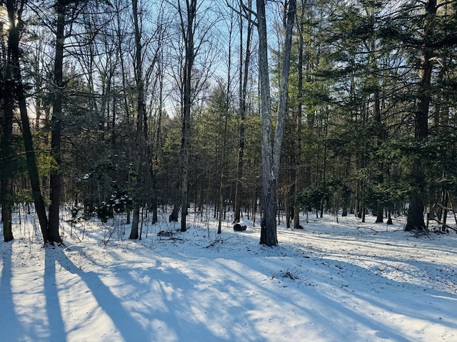 view of snow covered land