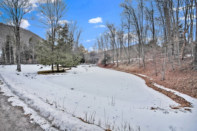 5284 Rte 6 W, Ulysses, PA 16948 - yard layered in snow with a mountain view