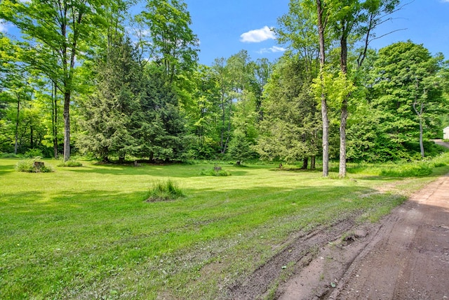 5284-A Rte 6 W, Ulysses, PA 16948 - view of grassy yard