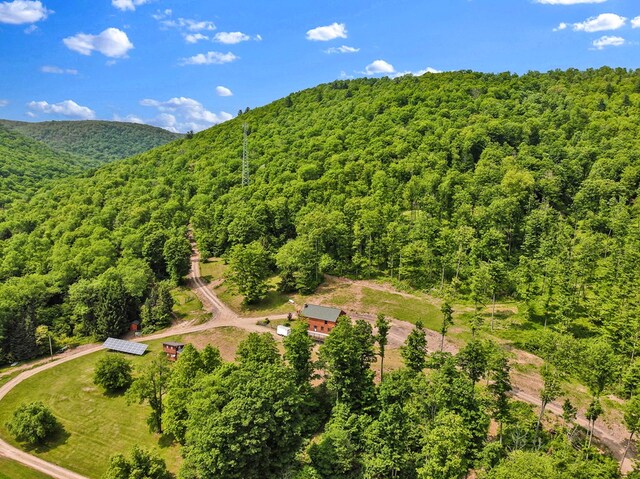 5284-A Rte 6 W, Ulysses, PA 16948 - bird's eye view of a heavily wooded area
