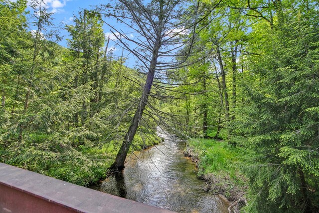 5284-A Rte 6 W, Ulysses, PA 16948 - water view with a heavily wooded area