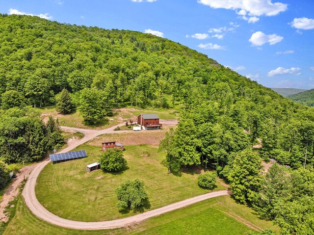 5284-A Rte 6 W, Ulysses, PA 16948 - view of subject property featuring a heavily wooded area