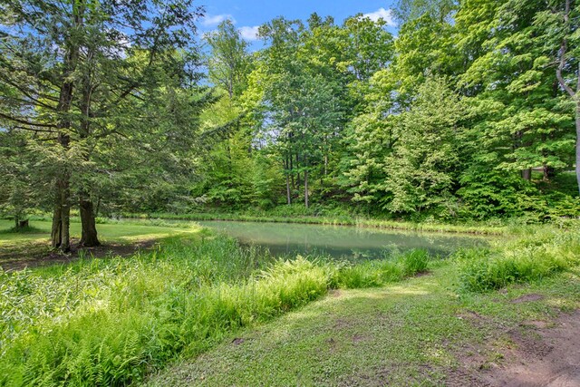5284-A Rte 6 W, Ulysses, PA 16948 - view of yard featuring a water view and a wooded view