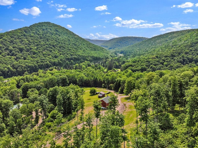 5284-A Rte 6 W, Ulysses, PA 16948 - mountain view with a heavily wooded area