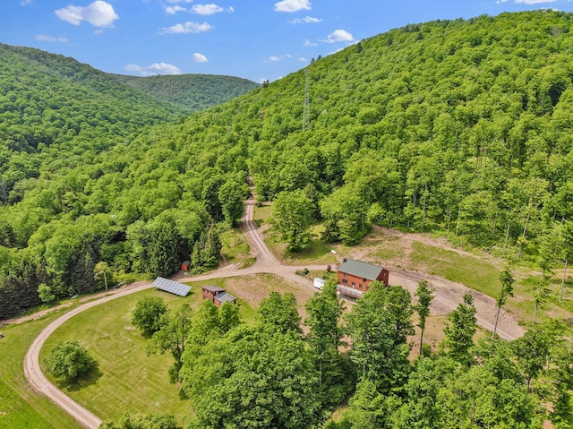 5284-A Rte 6 W, Ulysses, PA 16948 - bird's eye view of a forest and a mountain backdrop