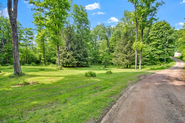 5284-A Rte 6 W, Ulysses, PA 16948 - view of green lawn