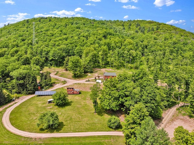 5284-A Rte 6 W, Ulysses, PA 16948 - bird's eye view of a forest