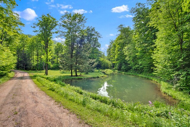 5284-A Rte 6 W, Ulysses, PA 16948 - water view with a forest