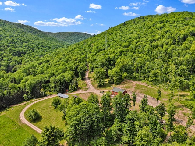 5284-A Rte 6 W, Ulysses, PA 16948 - aerial view of a forest and a mountain backdrop
