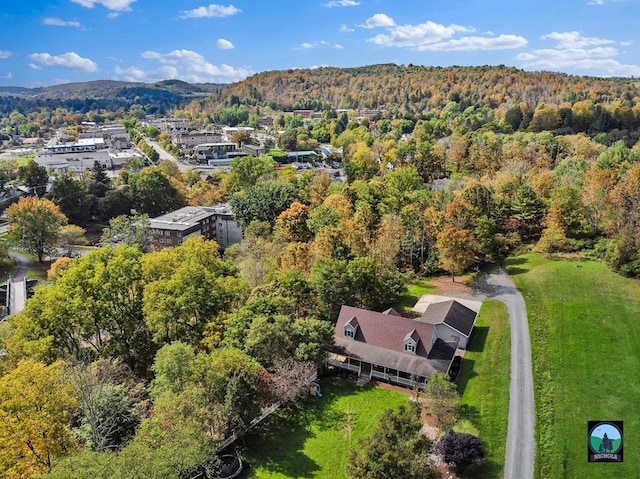 drone / aerial view featuring a mountain view