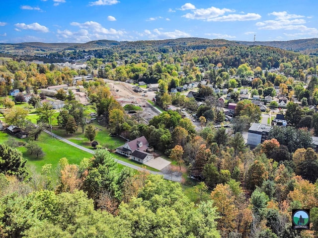 bird's eye view with a mountain view