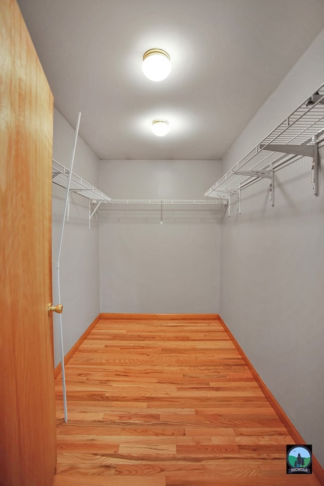 walk in closet with hardwood / wood-style flooring