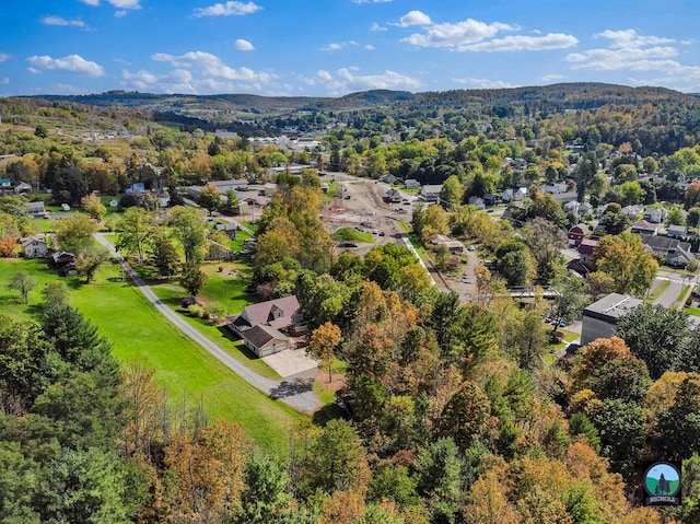 drone / aerial view with a mountain view