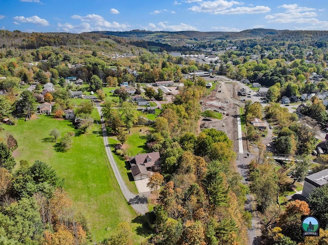 birds eye view of property with a mountain view