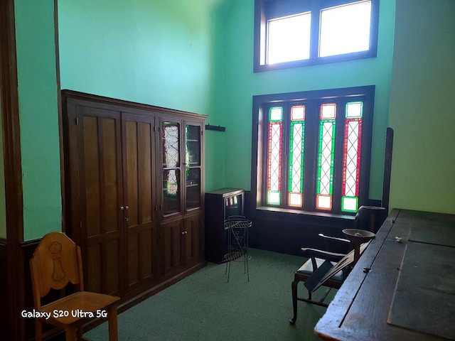 view of carpeted home office