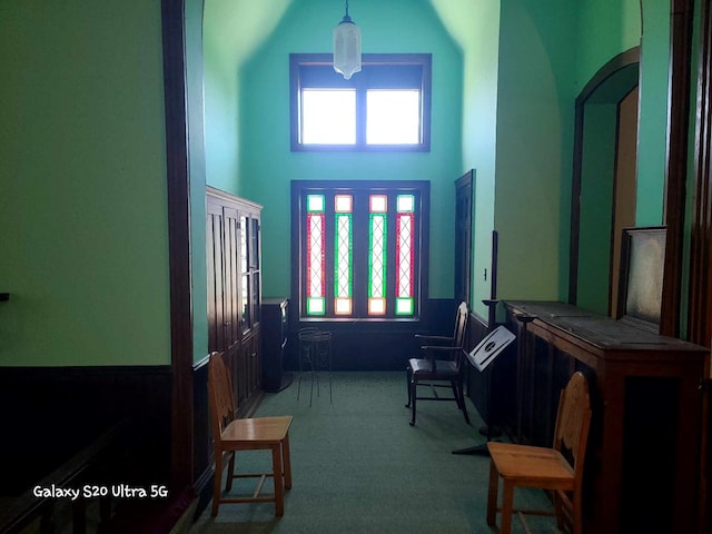 interior space with carpet and a towering ceiling