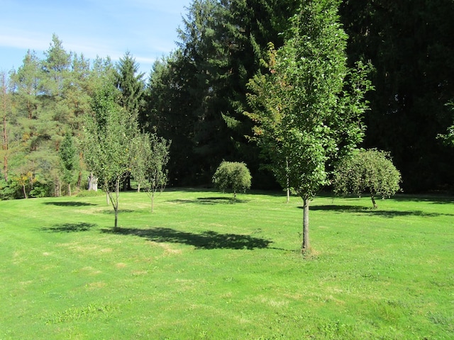 view of property's community with a lawn