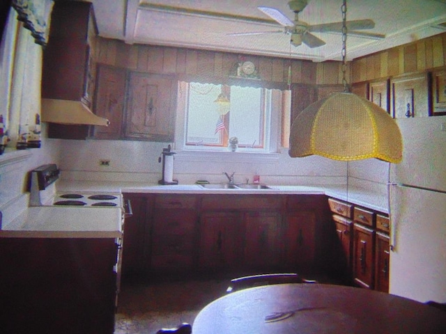 208 Tyler St, Athens, PA 18810 - kitchen with freestanding refrigerator, under cabinet range hood, light countertops, a ceiling fan, and a sink