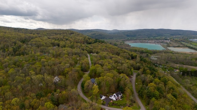 256 Queen Esther Dr, Sayre, PA 18840 - photo 27