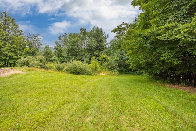1579 S Elk Run Rd, Wellsboro, PA 16901 - photo 52