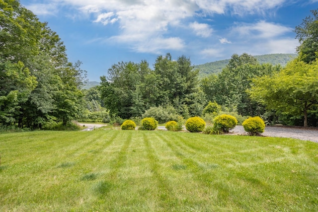 1579 S Elk Run Rd, Wellsboro, PA 16901 - photo 72