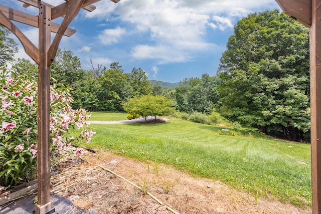 1579 S Elk Run Rd, Wellsboro, PA 16901 - photo 58