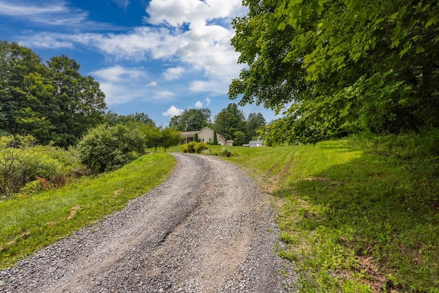 1579 S Elk Run Rd, Wellsboro, PA 16901 - photo 73