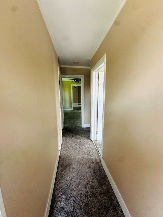 410 N Elmer Ave, Sayre, PA 18840 - photo 31