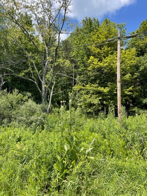 0 Rte 467, Rome, PA 18837 - photo 2