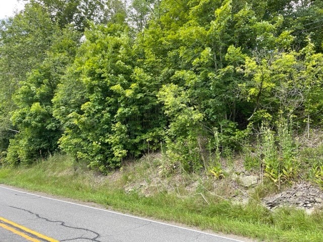 0 Rte 467, Rome, PA 18837 - photo 4