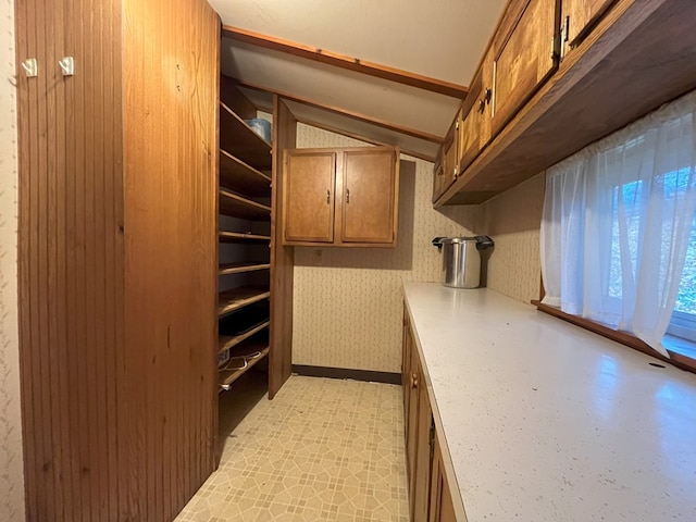 spacious closet with vaulted ceiling