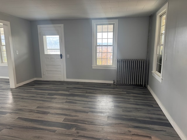 foyer featuring radiator heating unit, baseboards, dark wood-type flooring, and a wealth of natural light