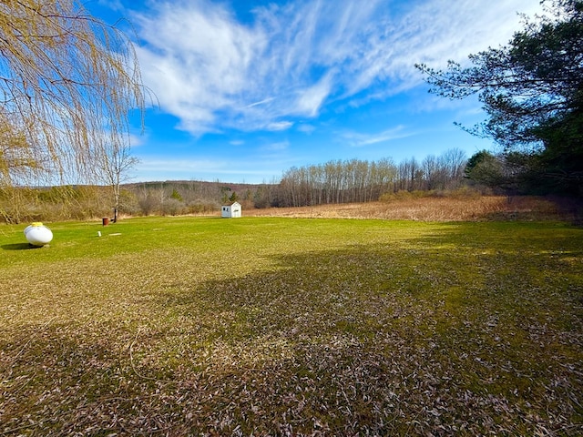 view of yard featuring an outdoor structure and a storage shed