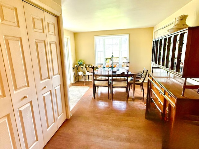 dining room featuring wood finished floors