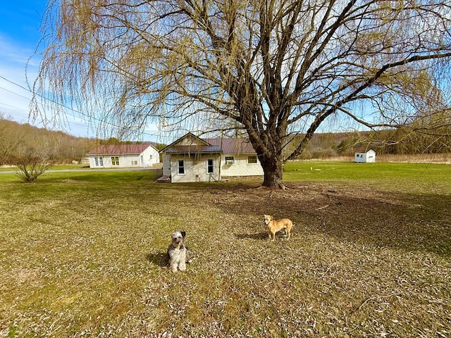 view of yard