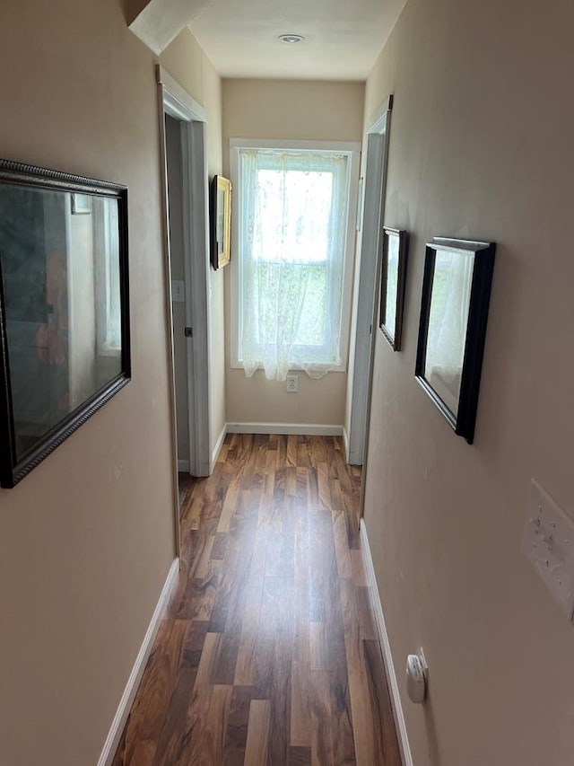 hallway featuring dark hardwood / wood-style flooring