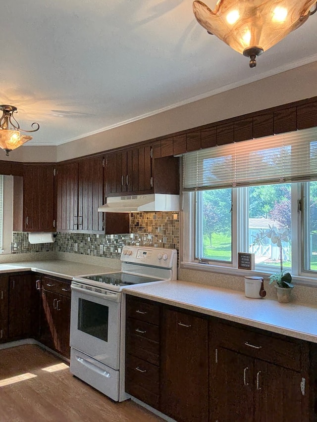 922 W Lockhart St, Sayre, PA 18840 - kitchen featuring white electric range, under cabinet range hood, light countertops, dark brown cabinets, and crown molding