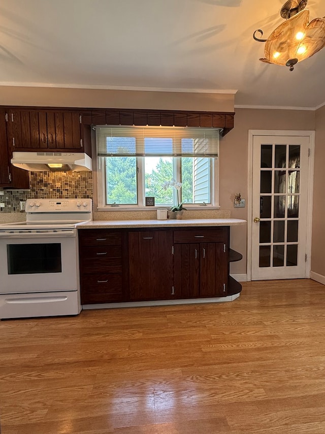 922 W Lockhart St, Sayre, PA 18840 - kitchen featuring electric stove, under cabinet range hood, light countertops, dark brown cabinets, and light wood-type flooring
