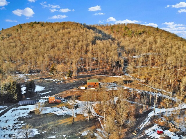 view of mountain feature featuring a wooded view