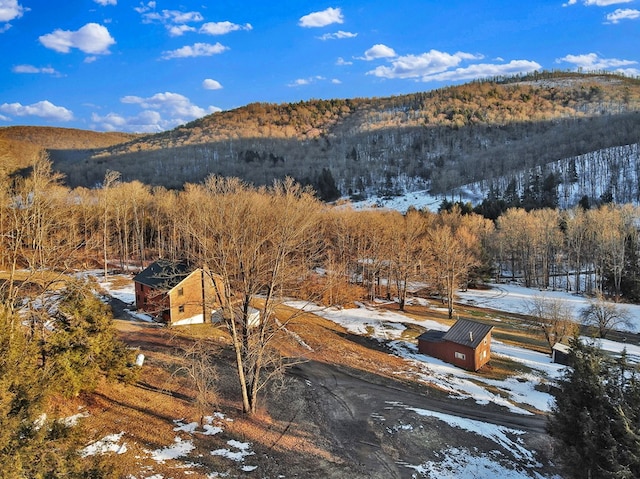 property view of mountains featuring a wooded view