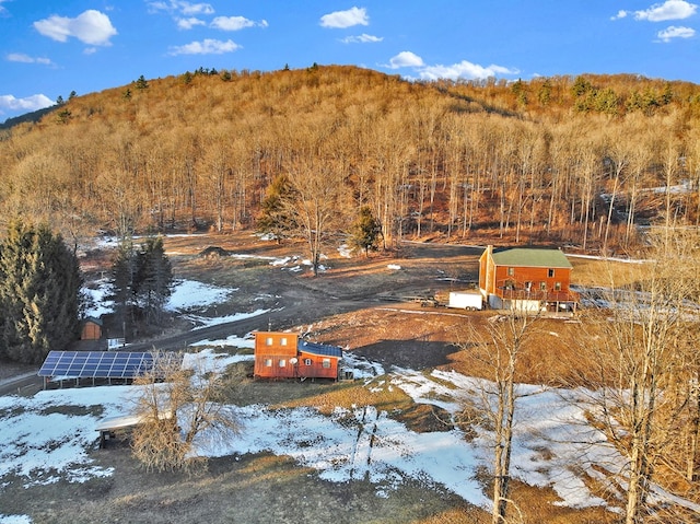 view of mountain feature with a wooded view