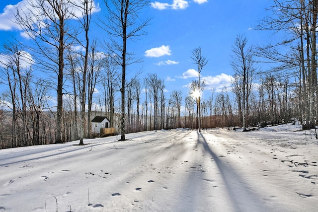 yard covered in snow featuring an outdoor structure