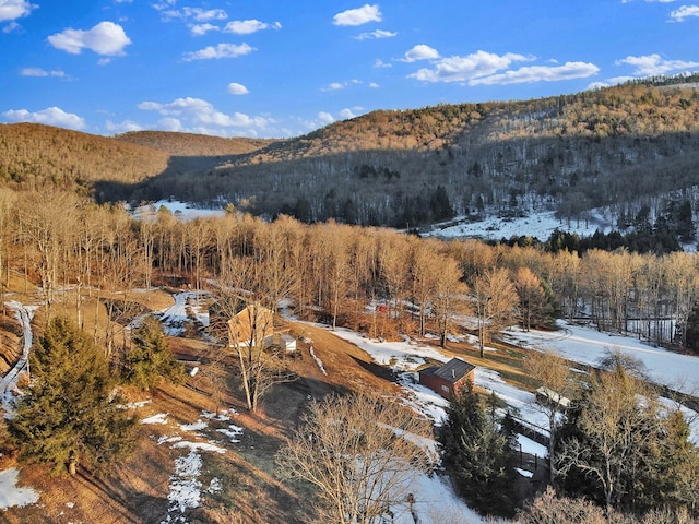 property view of mountains with a view of trees