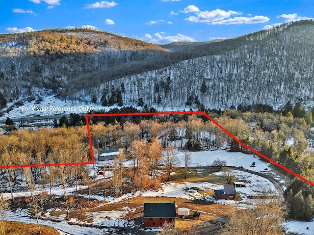 snowy aerial view featuring a mountain view and a forest view