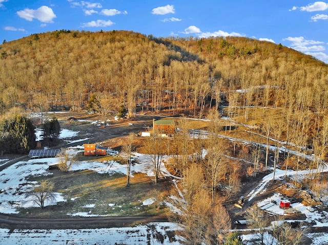 property view of mountains with a view of trees