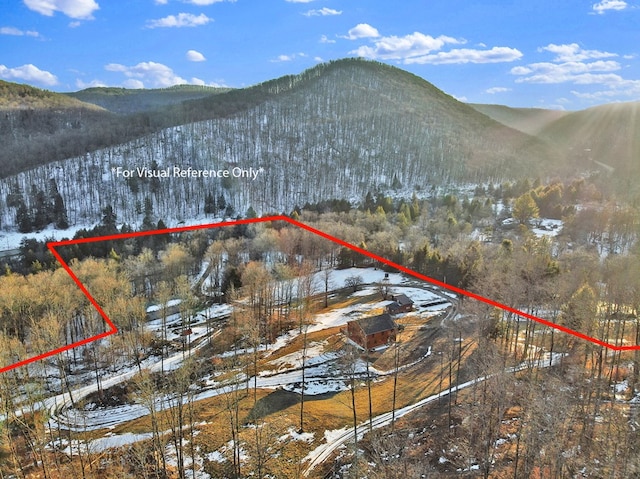 snowy aerial view with a mountain view and a wooded view