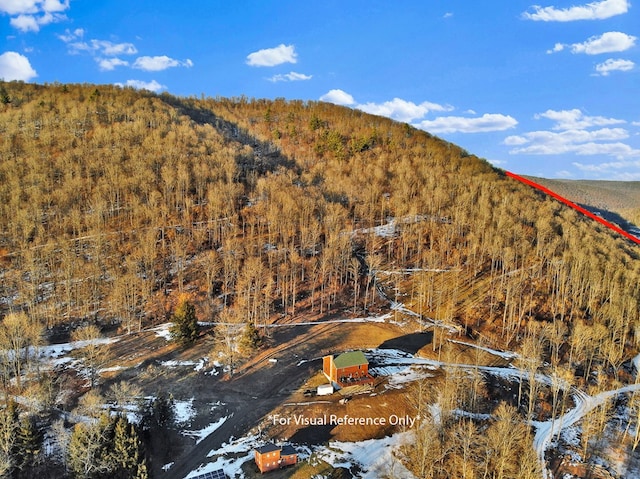 mountain view with a wooded view